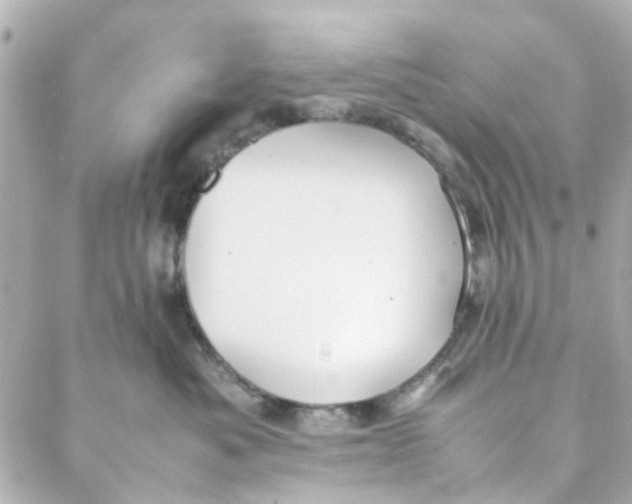 X0000088170525200706051120