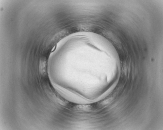 X0000088170526200706051119