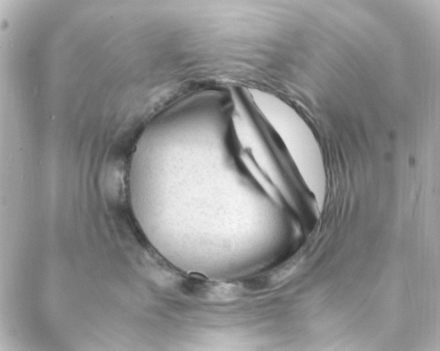 X0000088170527200706051119