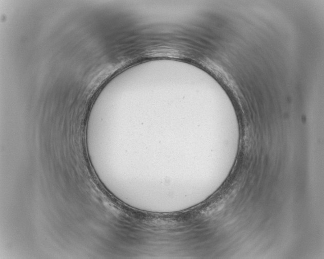 X0000088170529200706051119