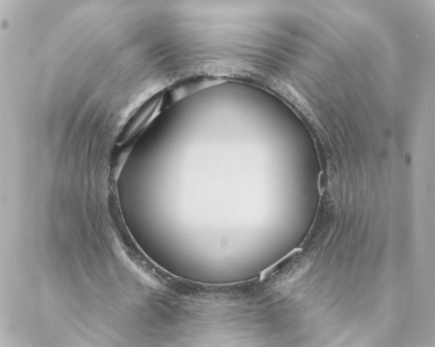 X0000088170530200706051119