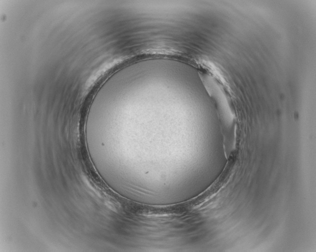 X0000088170531200706051119