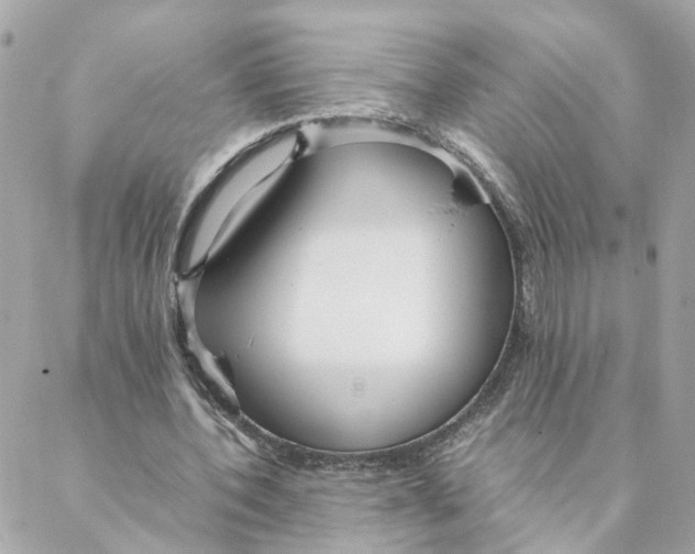 X0000088170532200706051119