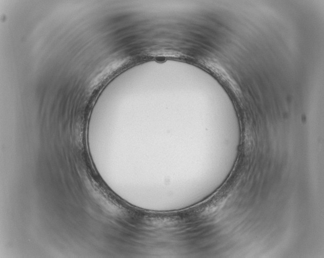 X0000088170533200706051119