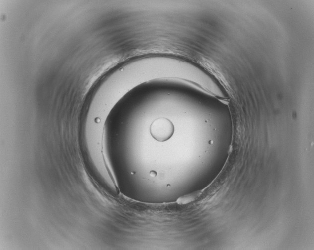 X0000088170534200706051119