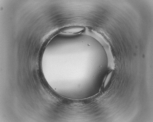 X0000088170536200706051119