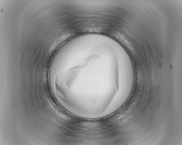 X0000088170537200706051119