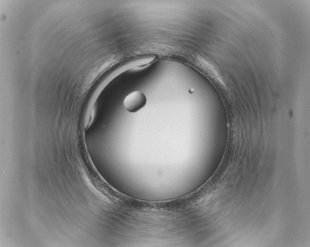 X0000088170538200706051119