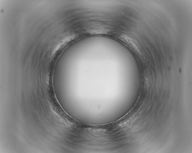 X0000088170539200706051119