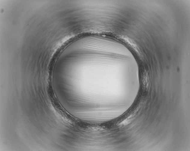 X0000088170540200706051119