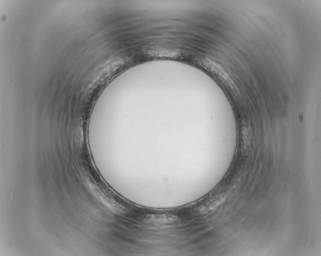 X0000088170541200706051119