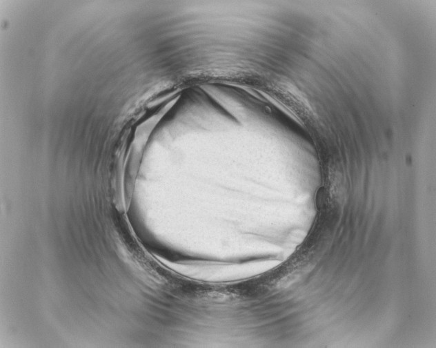 X0000088170542200706051119