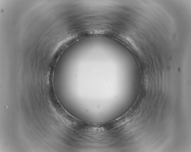 X0000088170543200706051119