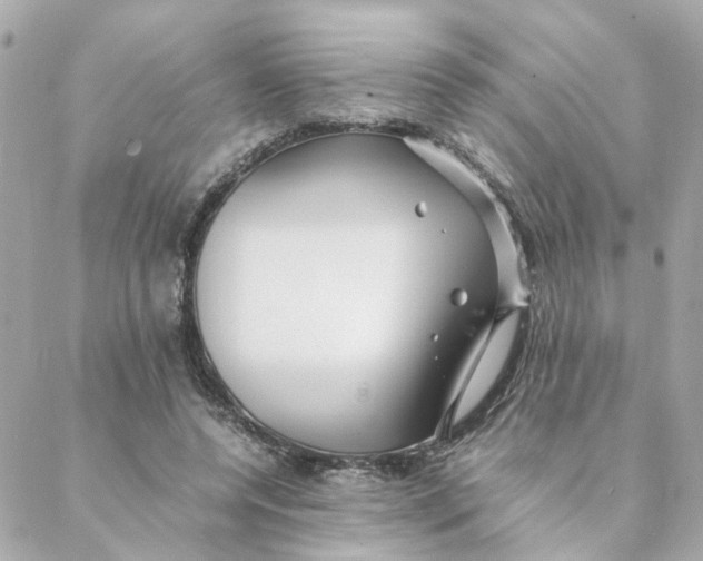 X0000088170544200706051119