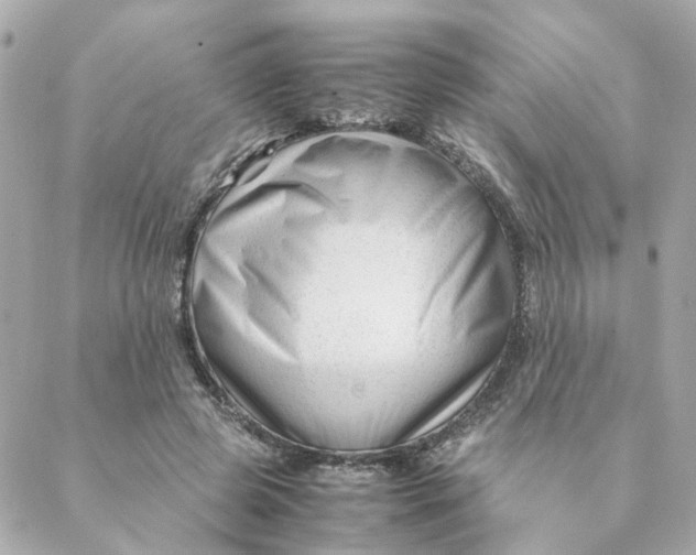 X0000088170545200706051119