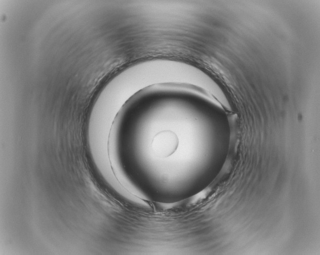 X0000088170546200706051119