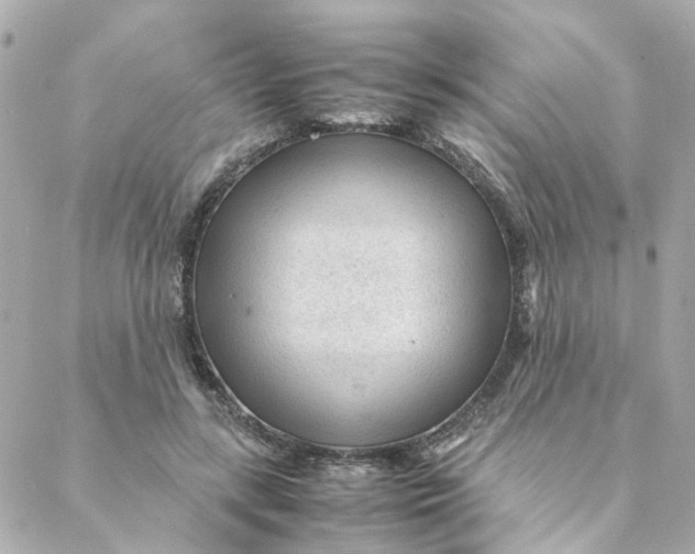 X0000088170547200706051119