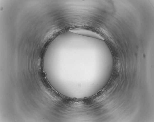 X0000088170548200706051119