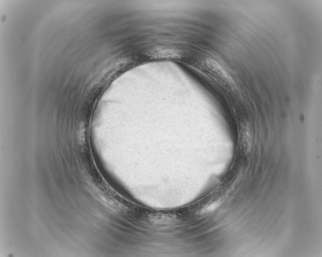 X0000088170549200706051119