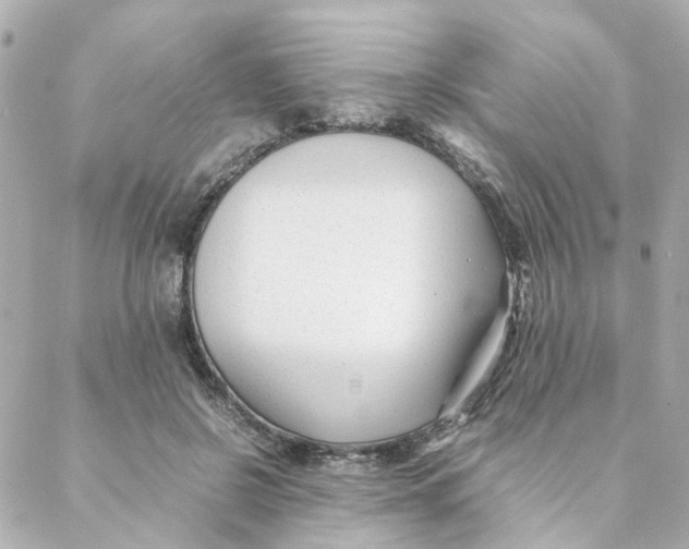 X0000088170550200706051119