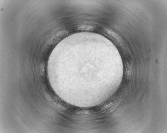 X0000088170551200706051119