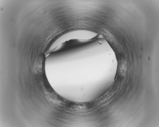 X0000088170552200706051119