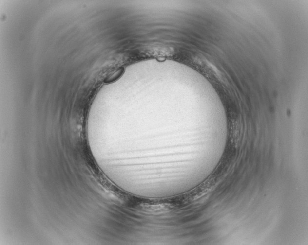 X0000088170553200706051119