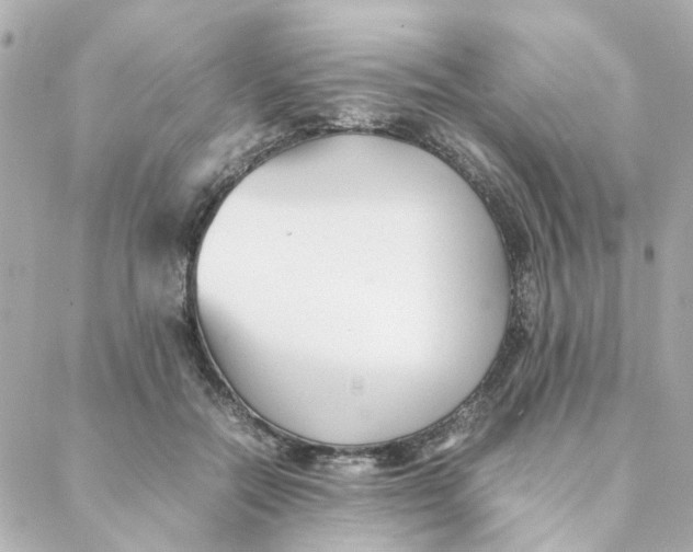 X0000088170554200706051119