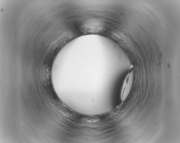 X0000088170555200706051119