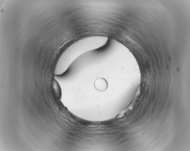 X0000088170556200706051119