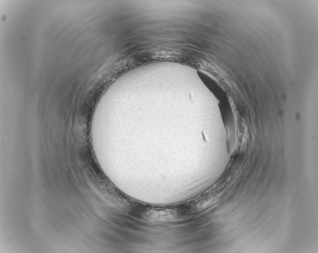 X0000088170557200706051119