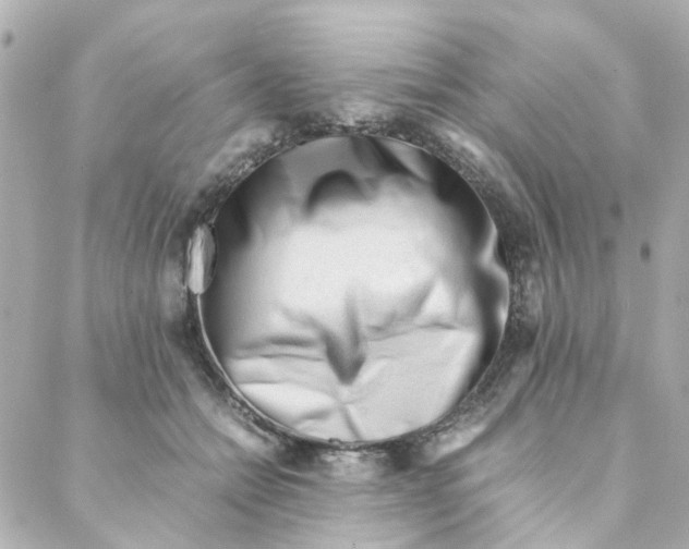 X0000088170558200706051119