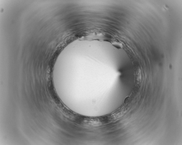 X0000088170559200706051119