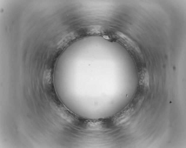 X0000088170560200706051119