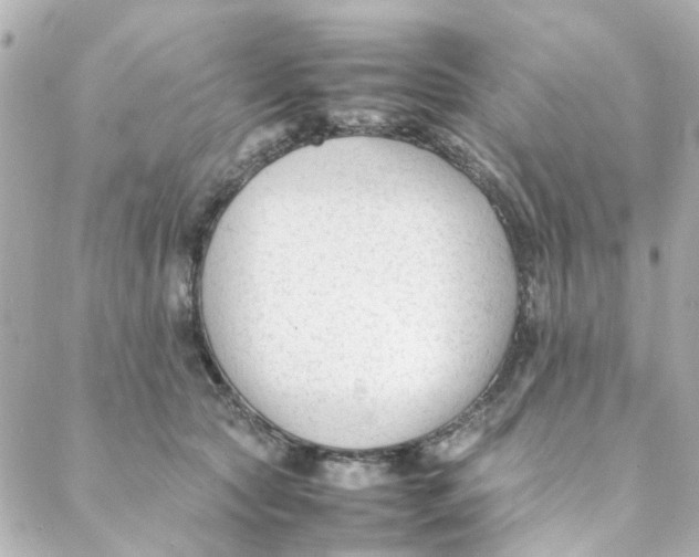 X0000088170561200706051119