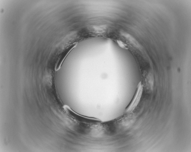 X0000088170562200706051119