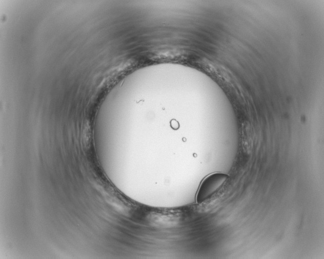 X0000088170563200706051119