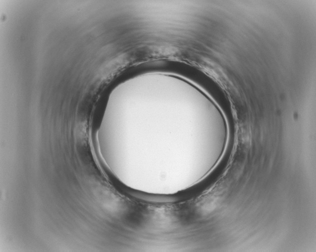 X0000088170564200706051119