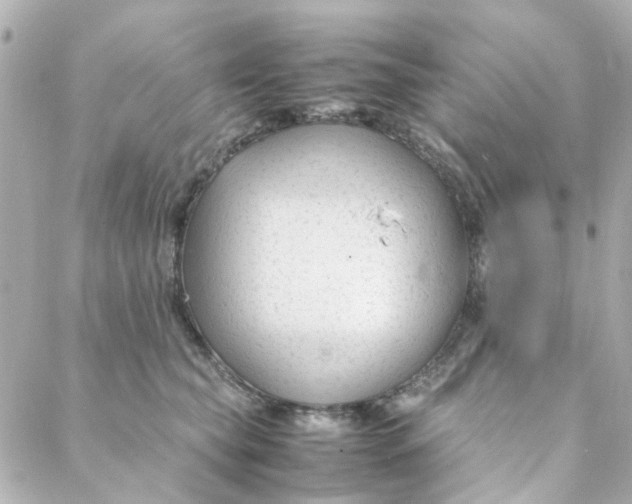 X0000088170565200706051119