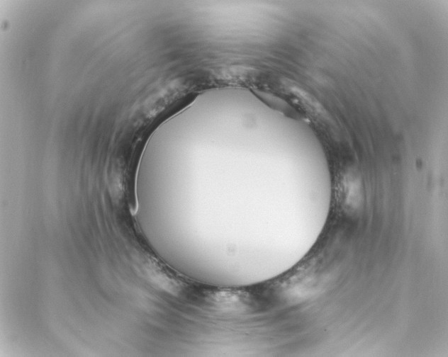 X0000088170566200706051119