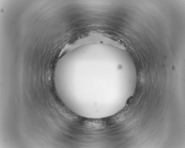 X0000088170567200706051119