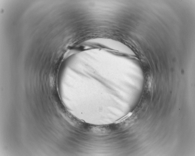 X0000088170568200706051119