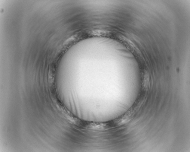 X0000088170569200706051119