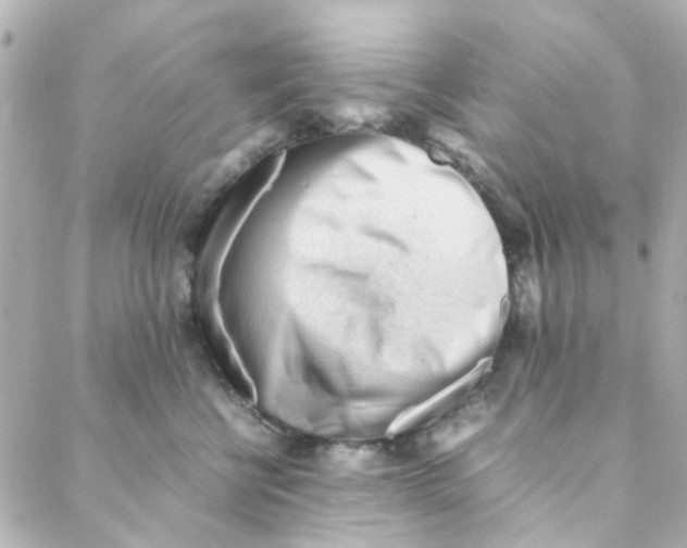 X0000088170570200706051119