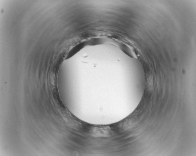 X0000088170571200706051119