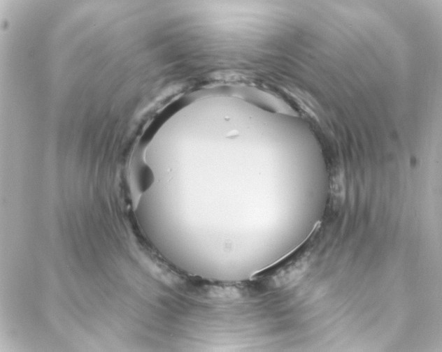 X0000088170572200706051119