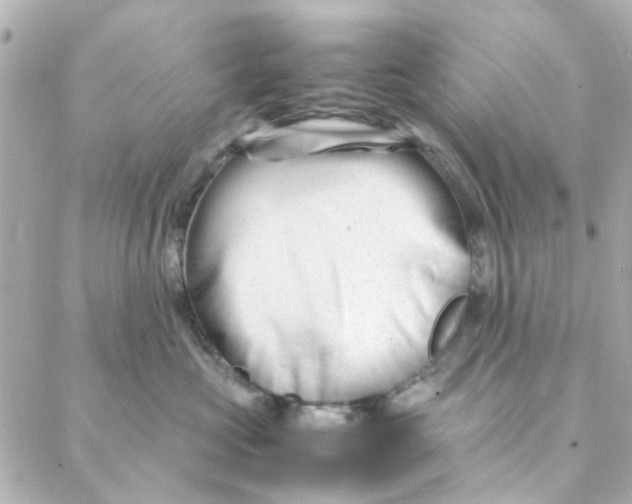 X0000088170573200706051119