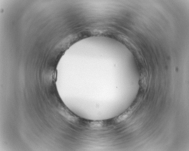 X0000088170574200706051119