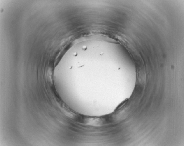 X0000088170575200706051119