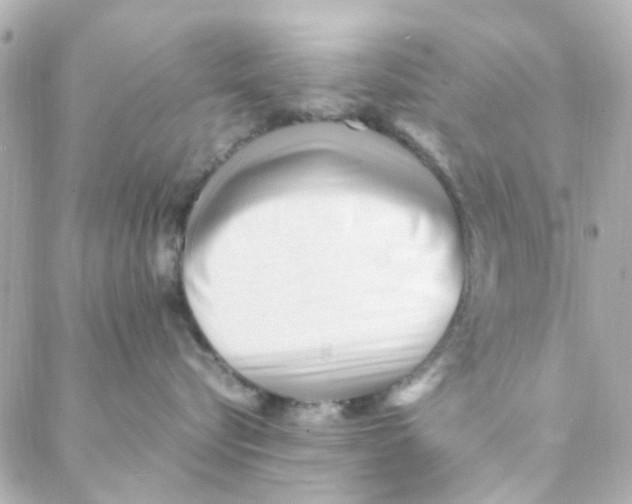 X0000088170576200706051119